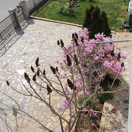 Green Oasis Apartment