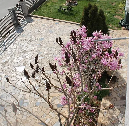 Green Oasis Apartment